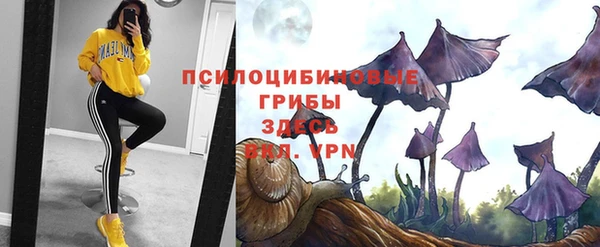 первитин Алексин